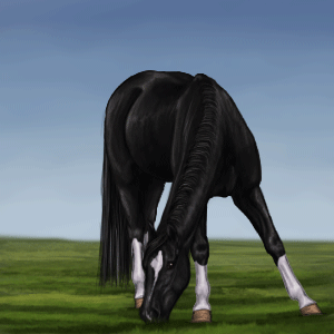 horse breeding game