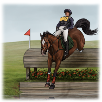eventing horse jumping