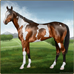 Train, Breed, and Show Your Virtual Horses