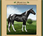 Breed Your Virtual Horses