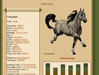 Custom Horse Art