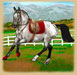 Tack Up